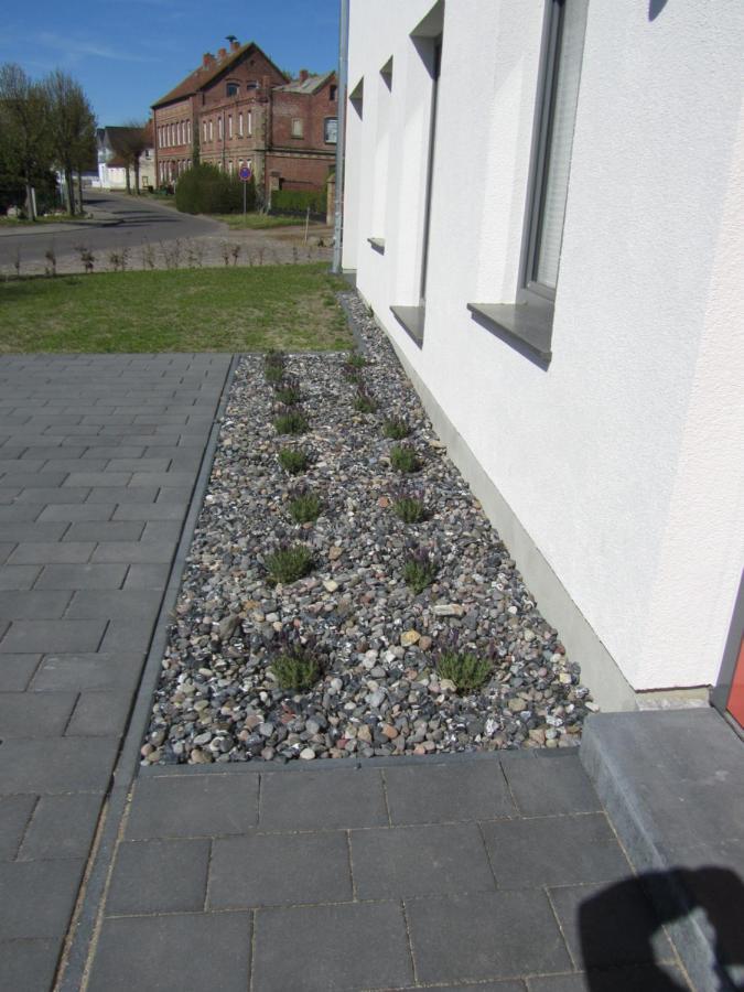Reusenhaus Sued Villa Breege Eksteriør billede